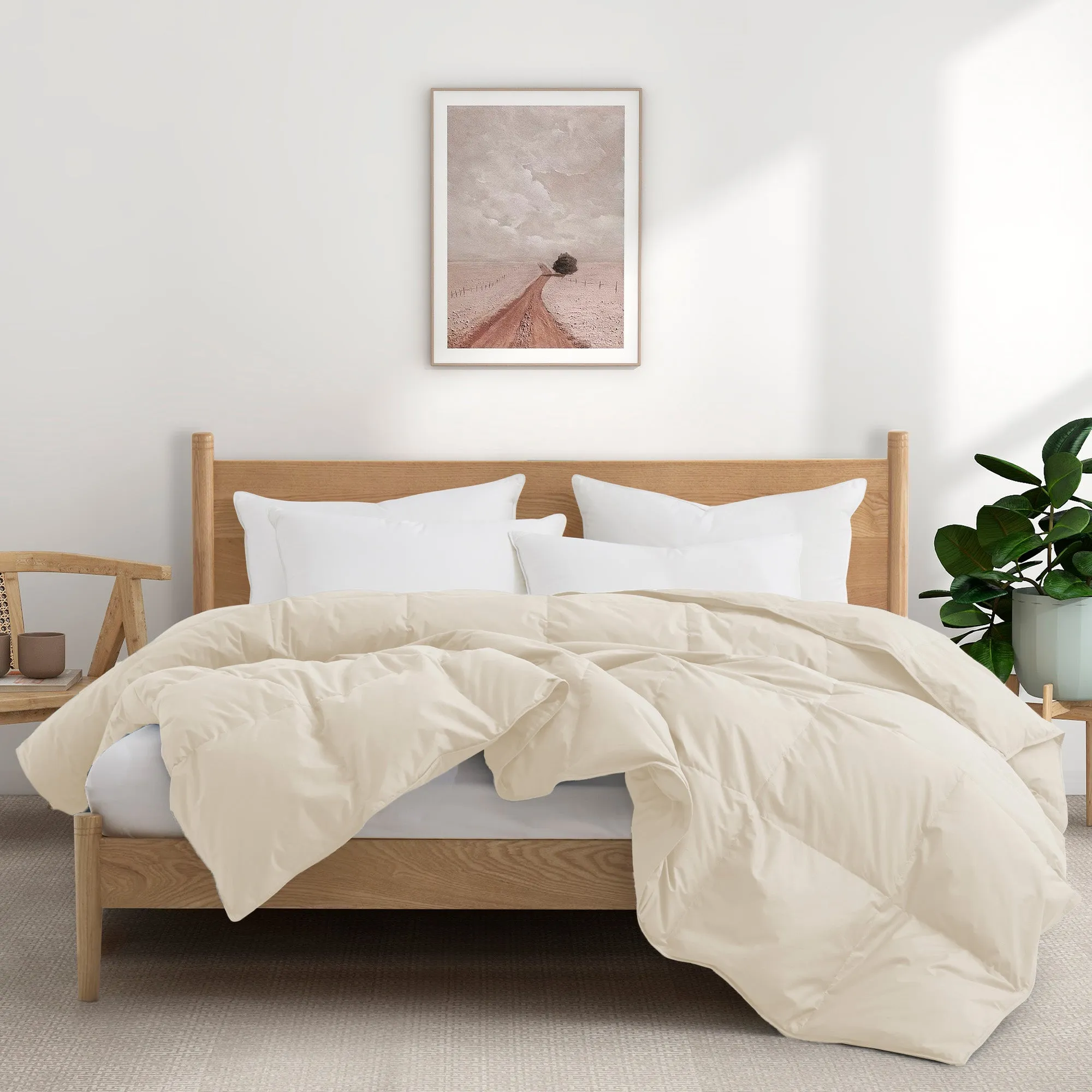 All Season Organic Cotton Comforter Filled with Down and Feather Fiber