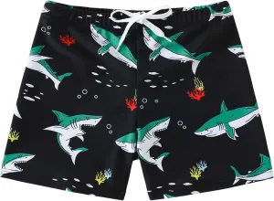 Boys Swim Trunks Quick Dry Board Shorts Swimwear Trunks Hawaii Beach Swimsuit Toddler Bathing Suit Bottom Kid 2-8Years