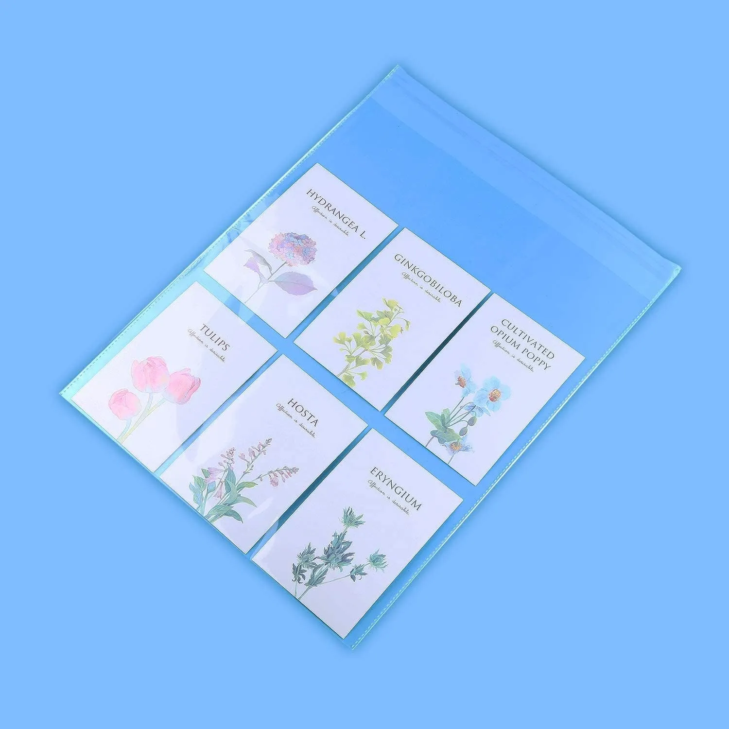 iMailer - 100 Count - 12" x 15" Cellophane Bags Self Seal- Resealable Plastic Clear Cello Bagsfor Clothing, T-Shirts, Pants